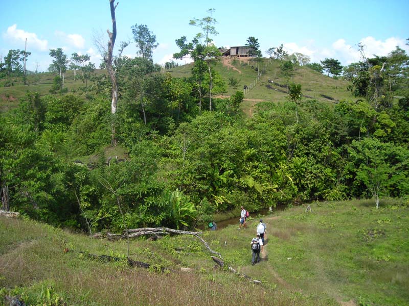 DSCN0029