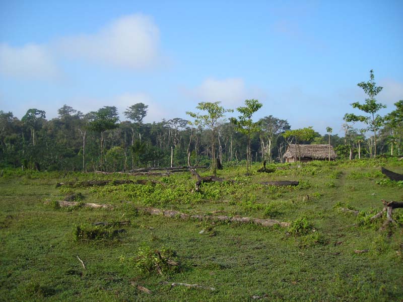 DSCN0075