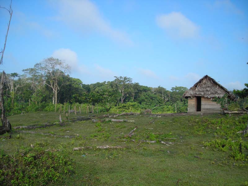 DSCN0076